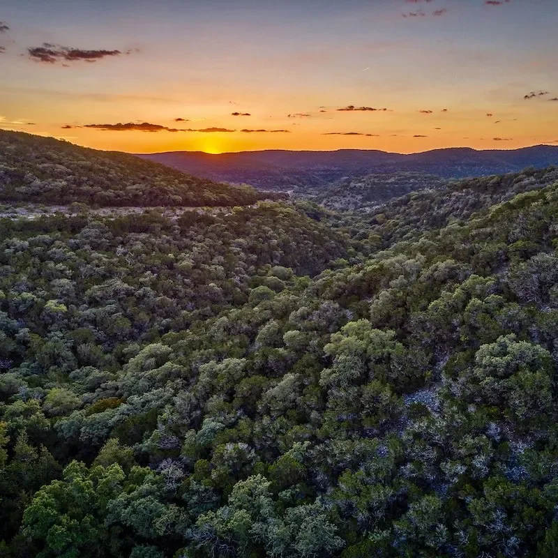 Sunset over a lush forested valley with hills in the background